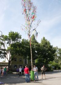 IMG_0072.jpg
