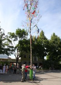 IMG_0075.jpg