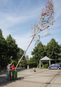 IMG_0077.jpg