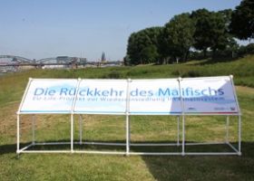 IMG_0124.jpg