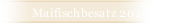 Maifischbesatz 2015