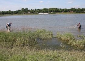 IMG_0097.jpg
